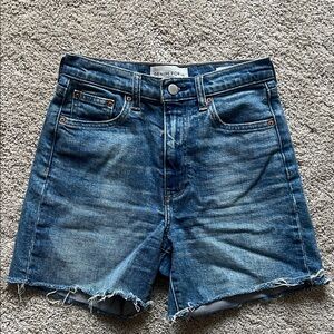 Aritzia Denim Forum Jean Shorts